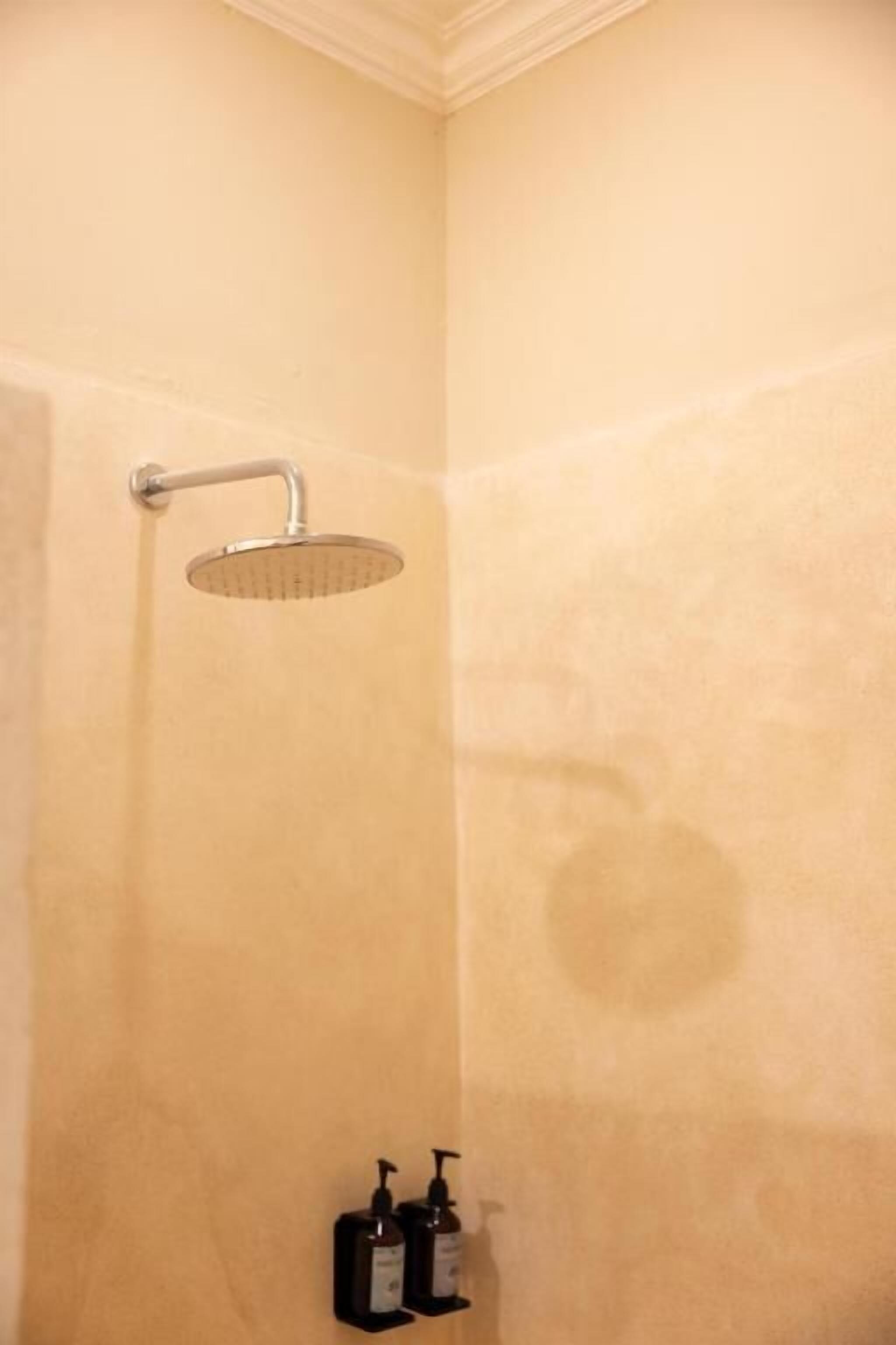 Une salle de bain avec une douche, deux flacons de savon liquide et un porte-serviettes.