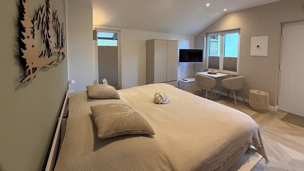 A bedroom with a bed, a desk, a chair, a television, and a wardrobe.