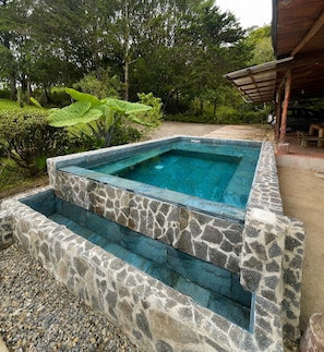 A rectangular swimming pool with stone steps leading into it, surrounded by greenery and a wooden structure in the background.
