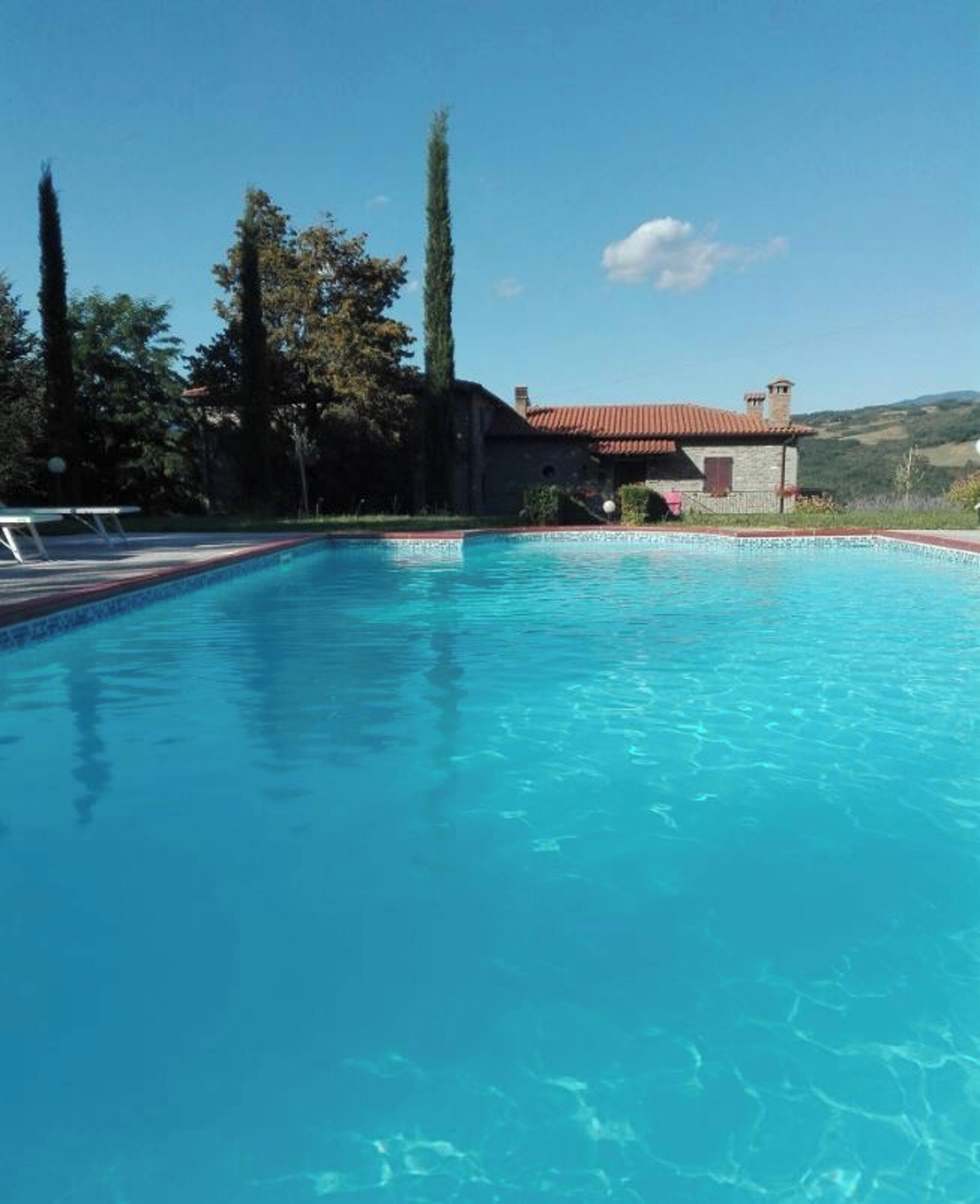 Swimming pool view