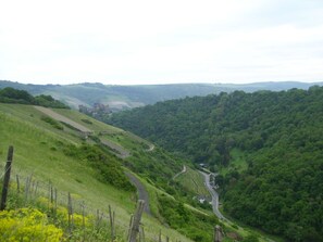 Miscellaneous - Vrbo Property (Oberwesel)