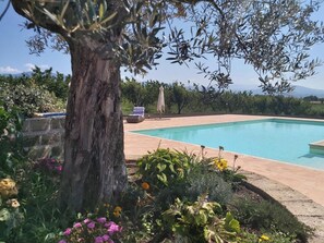 A swimming pool surrounded by greenery and a tree, with a clear view of the landscape in the background. - Homerez - Spacious Villa with Pool in Segni (Segni)