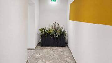 Een gang met een zwarte plantenbak met planten, een witte muur en een gele accentmuur.