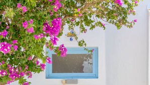 Una puerta blanca con una ventana encima, un estante azul pequeño y una planta en maceta a la izquierda.