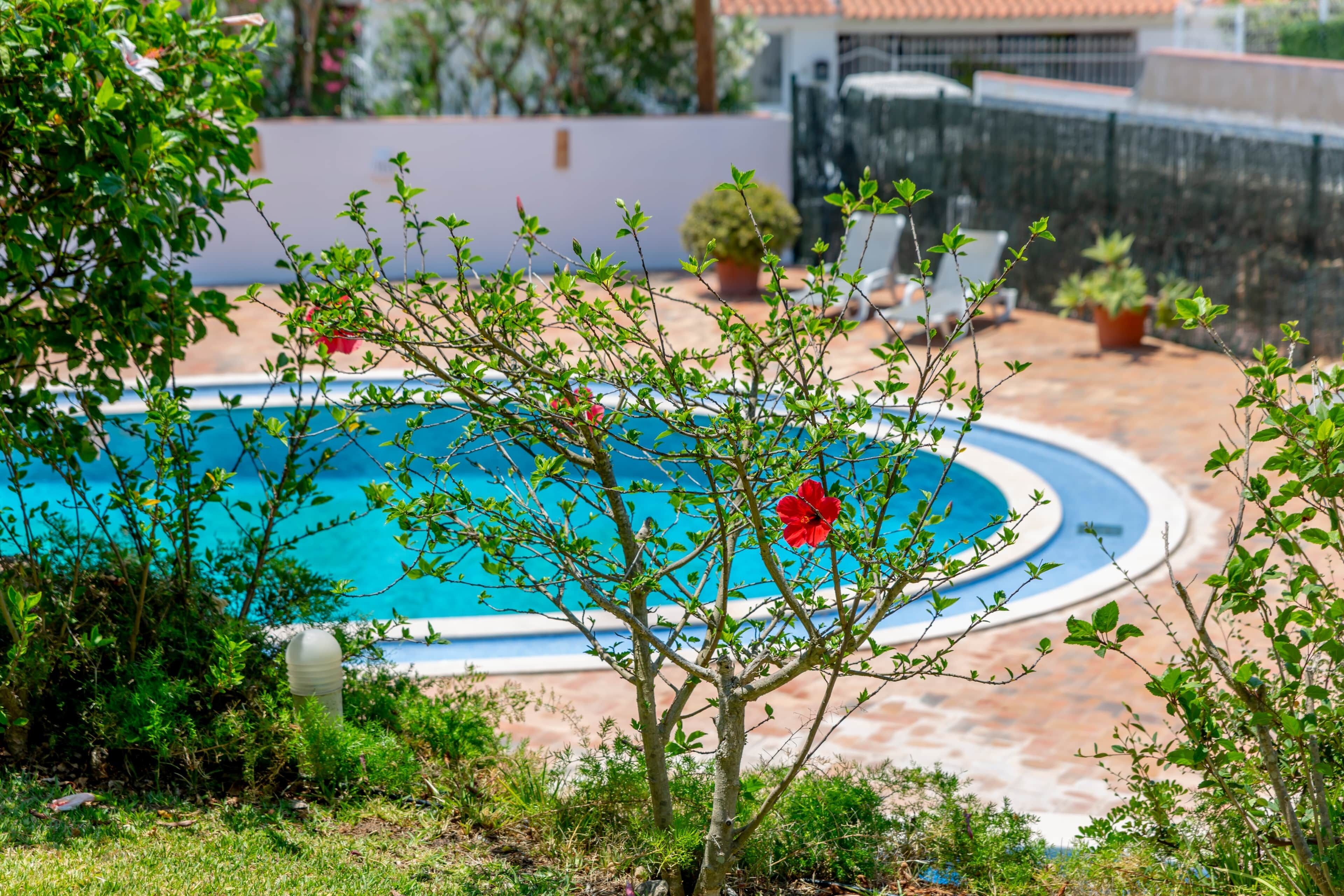 A swimming pool surrounded by greenery and potted plants.