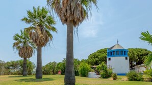 Un'area erbosa con palme e un edificio bianco con decorazioni blu.