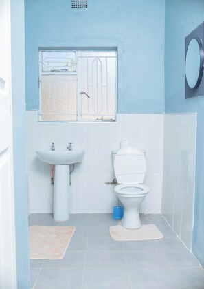 Slippers, soap, shampoo, toilet paper - 3 Bed Bulawayo Home  (Bulawayo)