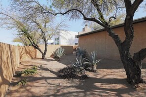 A courtyard with a tree, a building, and some plants. - Midtown Retreat-Pet Friendly (Tucson)