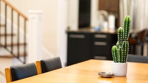 A dining table with a potted cactus and a metal plate. - Famous Historic Big Blue House (Tucson)