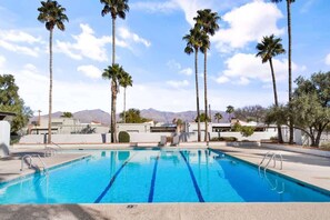 A swimming pool with clear blue water, surrounded by palm trees and a mountainous backdrop. - Pool & Pet Friendly-Walk to Udall Park (Tucson)