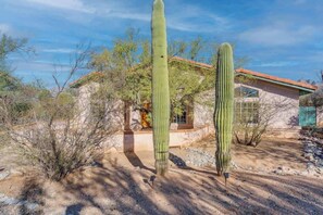 A desert landscape with two tall cacti and a building with a red roof. - Catalina Mountain Views with Pool (Tucson)