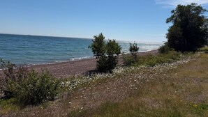 Una playa con costa rocosa, una zona verde con flores blancas y un cielo azul despejado.