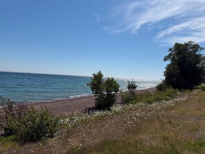 A beach with a rocky shoreline, a grassy area with white flowers, and a clear blue sky.