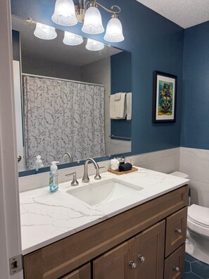 Shower, jetted bath, hair dryer, bidet - 3-bedroom 3 bath house, well stocked kitchen next to rec center and trails (Bella Vista)