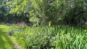 A garden with various plants and flowers, a grassy area, and a stone wall.