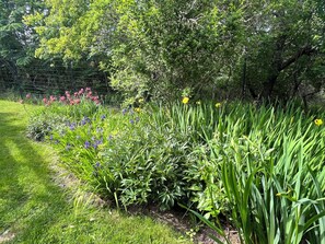 Terrain de l’hébergement