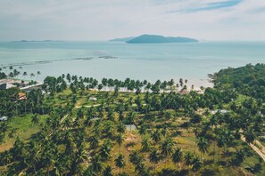 Eine Küstenlandschaft mit Palmen, einem Strand und einer entfernten Insel.