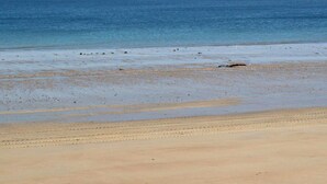 Una playa con una amplia orilla de arena y agua tranquila.