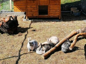 Ein Tierhäuschen aus Holz mit Futterplatz.