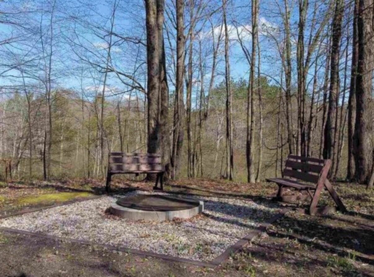 A forested area with two benches and a circular fire pit.