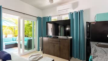 Smart TV, DVD player, books, video library