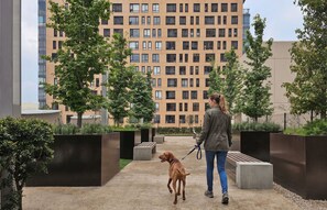 A person walking a dog on a gravel path with modern buildings in the background. - Miyana by Kukun | 3BR apartment (Ciudad de México)