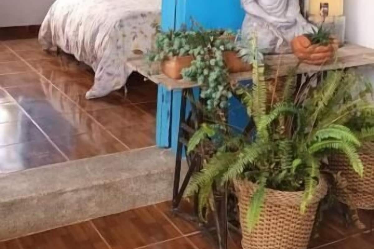 Economy Double Room, Garden View | WiFi (free)
