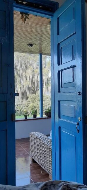 Puerta azul abierta que da a un espacio exterior cubierto con un banco y plantas en macetas.