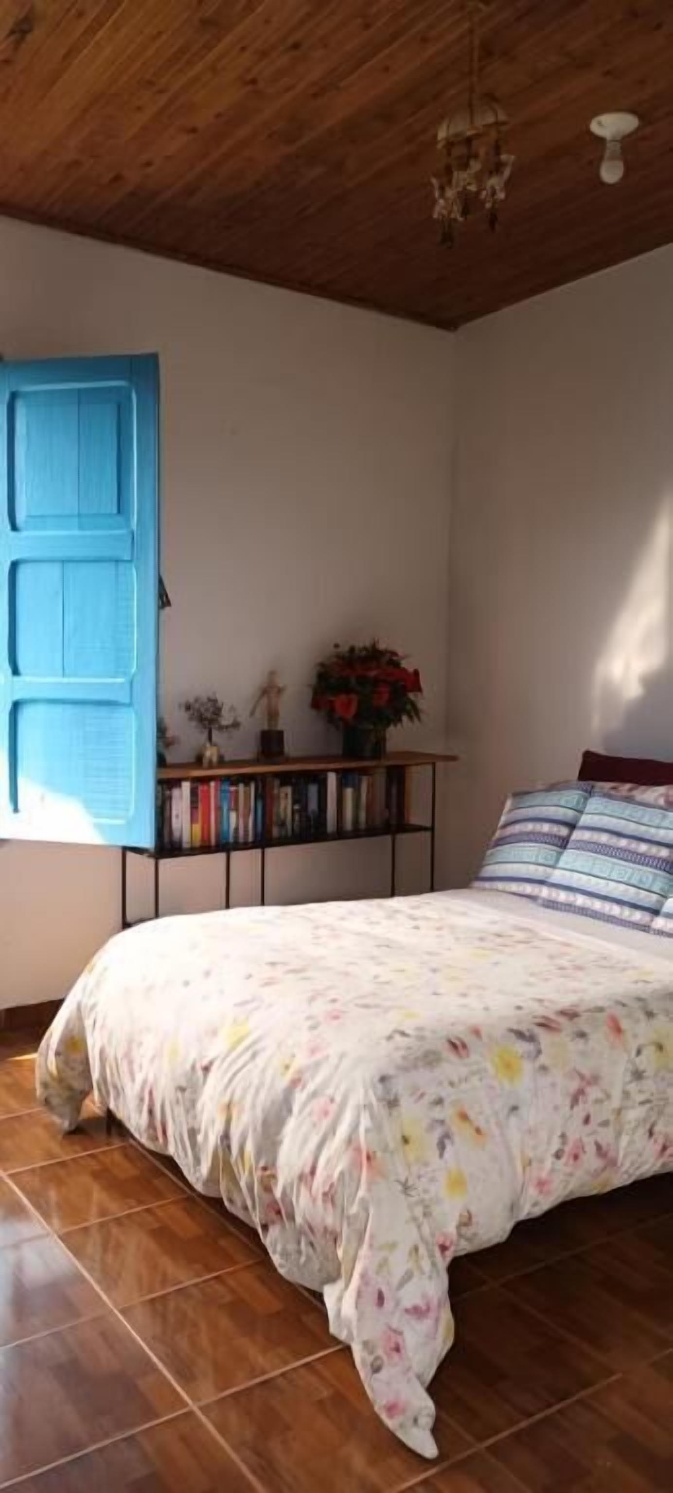 Een slaapkamer met een bed, een blauwe deur, een boekenkast en een kroonluchter.