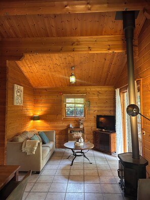 Ein gemütliches Blockhäuschen-Interieur mit einer Couch, einem Tisch, einem Fernseher und einem Kaminofen.