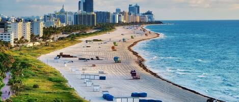 Una spiaggia con sullo sfondo la skyline di una città, sabbia dorata e una zona verdeggiante con palme.