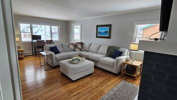 Smart TV, fireplace, books