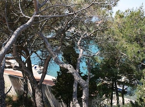 A coastal area with trees and a boat dock. - Comfort One Bedroom Apartment with Terrace and Sea View (Pag)