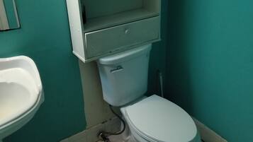 Shower, towels, soap, toilet paper