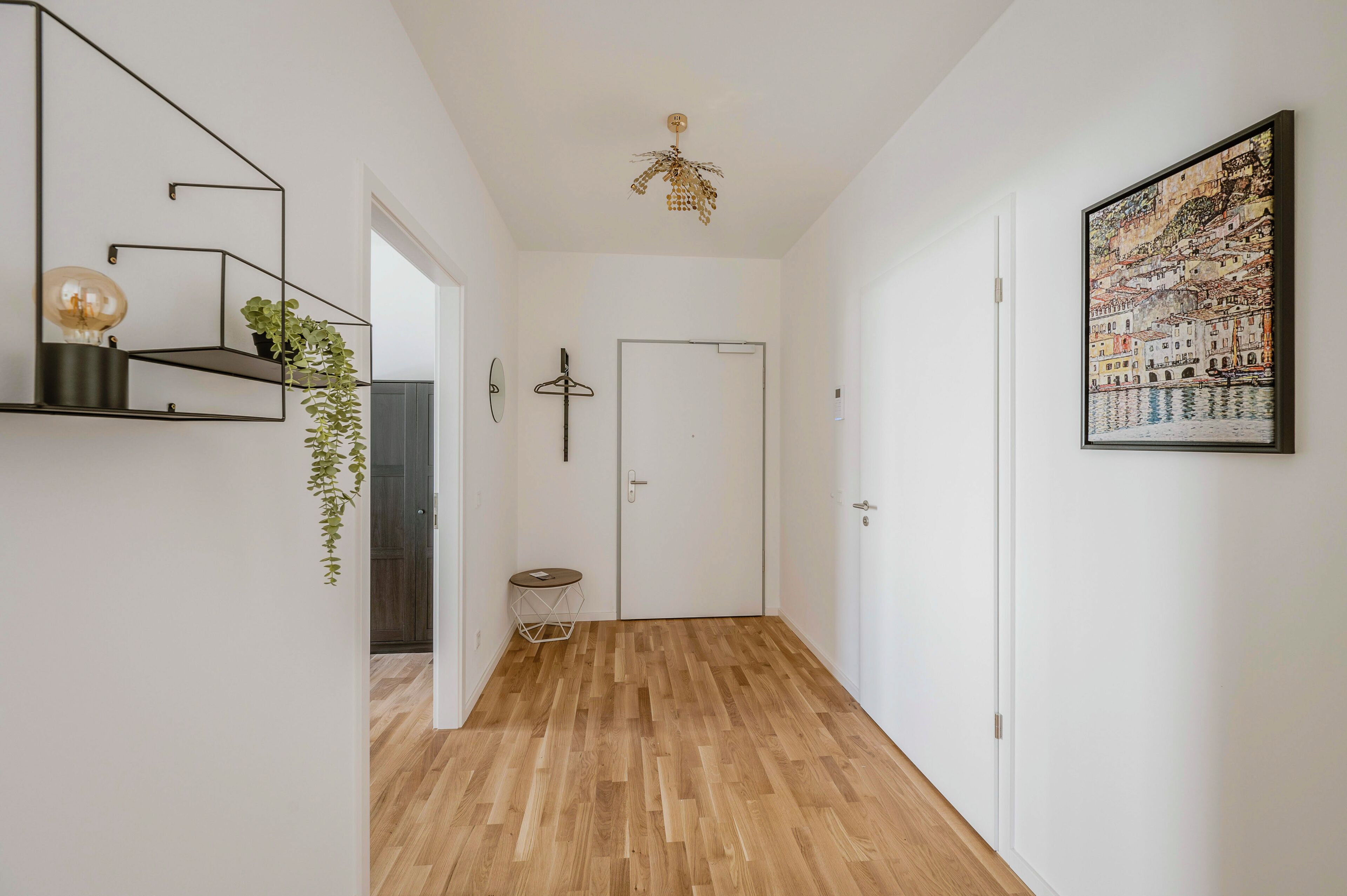 Un couloir avec un plancher en bois, une porte blanche, une plante suspendue, une étagère fixée au mur avec une lampe, et un tableau encadré.
