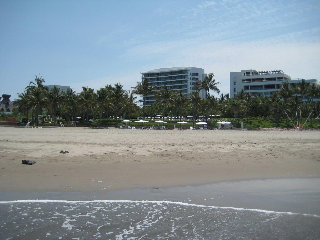 A beach with palm trees, a sandy shore, and buildings in the background.