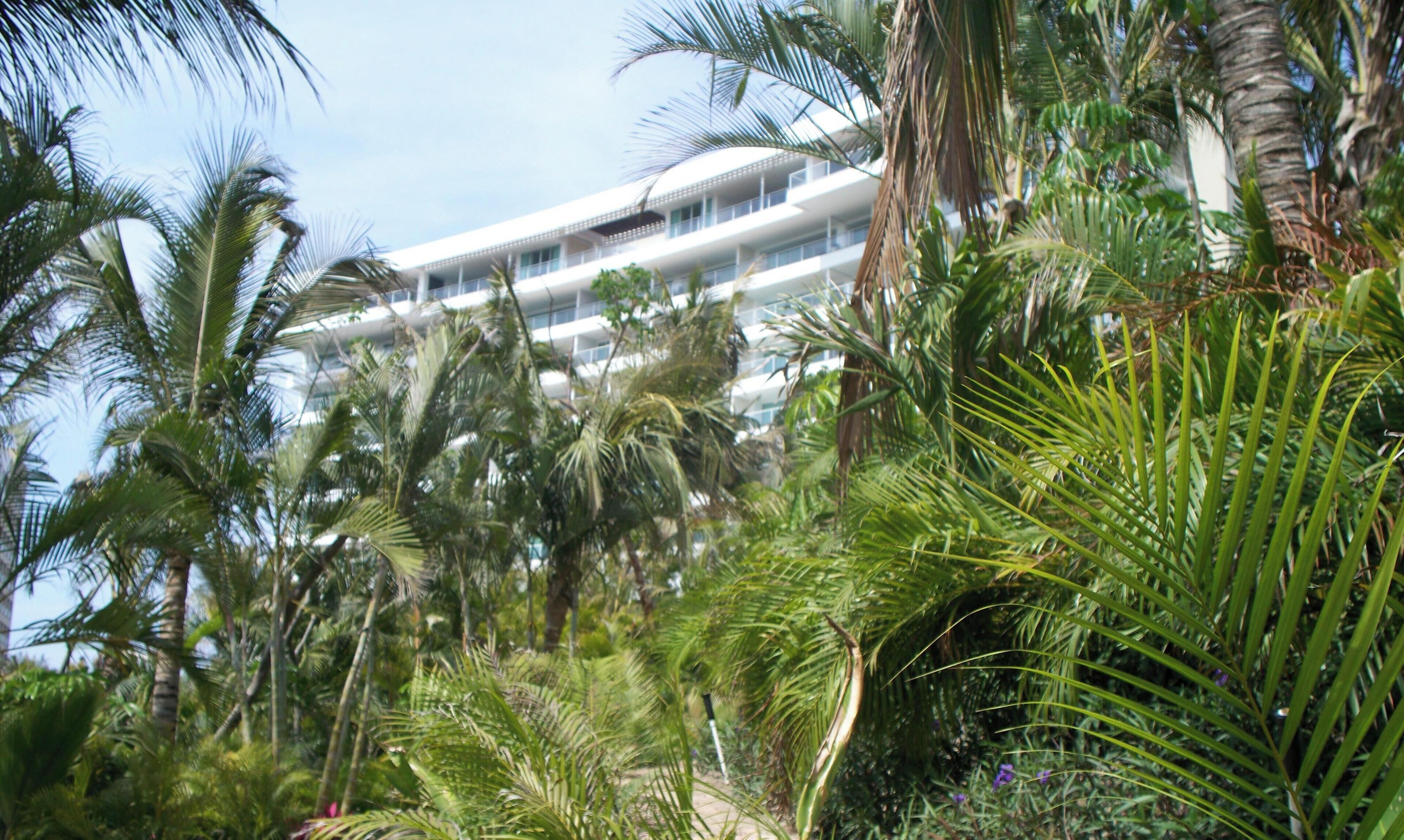 Un edificio de varios pisos rodeado de exuberante vegetación tropical.