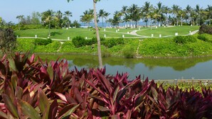 Uma área ajardinada com lago, palmeiras e diversas plantas.
