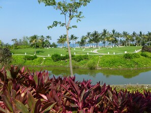 A landscaped area with a pond, palm trees, and a variety of plants. - Condo Nayarit (Nuevo Nayarit)