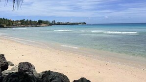 Una playa con aguas cristalinas, una orilla de arena y una palmera.