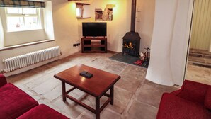 A cozy living room with a fireplace, a television, and red sofas. - Claybottom Farm (Wigton)