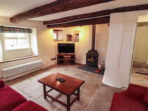 A cozy living room with a fireplace, a television, and red sofas. - Claybottom Farm (Wigton)