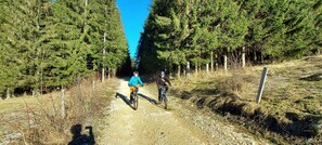 A dirt path flanked by trees, suitable for biking. - Single-story detached house at the foot of a mountain pass, with a bike garage and a small terrace (Plateau d'Hauteville)
