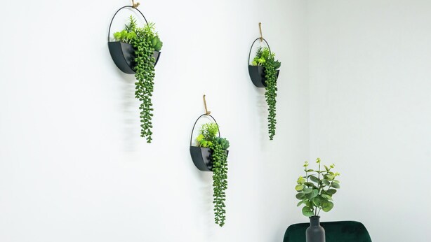 A room with a white wall, a table, and four hanging planters with green plants. - Cosy Little Flat - Perfect Base for Explorers (London)