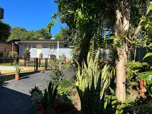 A residential area with a house, a fenced yard, and various potted plants.