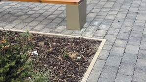 Outdoor seating with benches and planters, a brick building, and a fenced area. - Cozy Botanical Gardens Apartment | Sleeps 5 Guests 🌿 (Stretford)