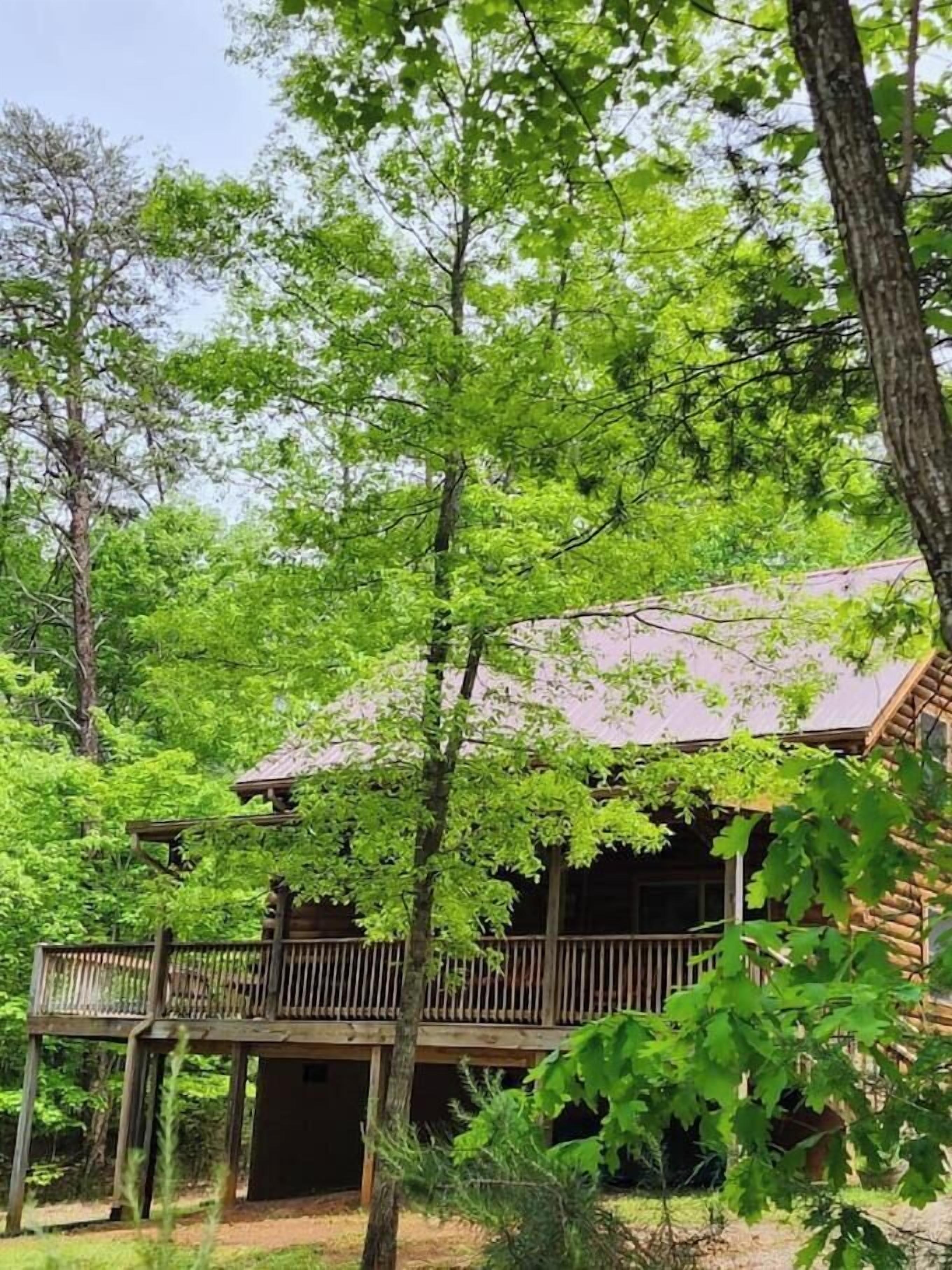 A cabin with a wooden deck and a covered porch, surrounded by dense green foliage.