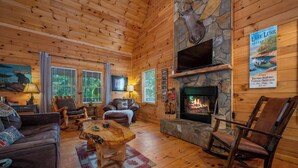 TV, fireplace, video games, books