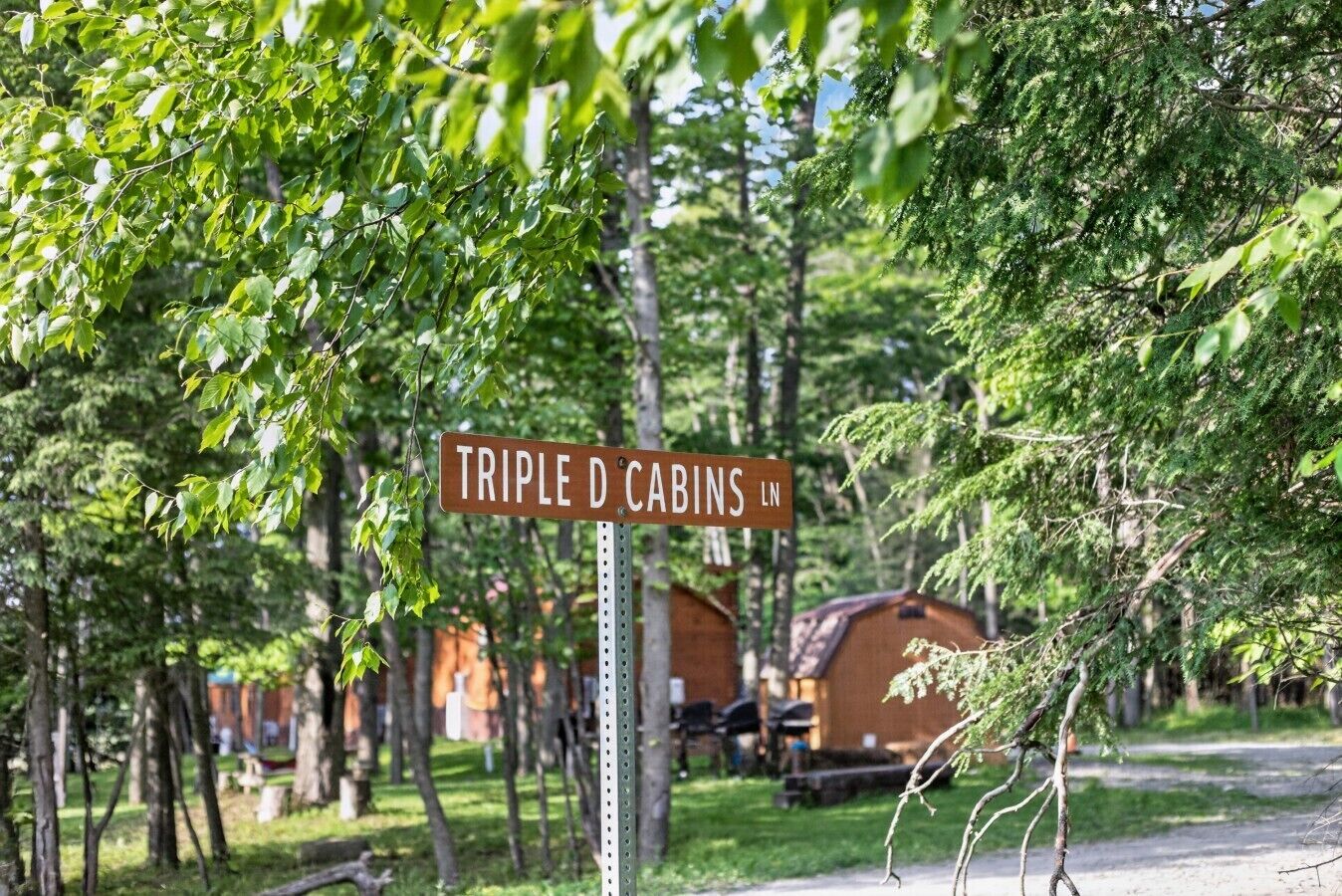 Schild für Triple D Cabins LN, umgeben von Bäumen und Holzhütten.
