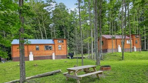Eine Holzhütte mit blauem Dach, umgeben von einer Rasenfläche mit Picknicktisch und Feuerstelle.